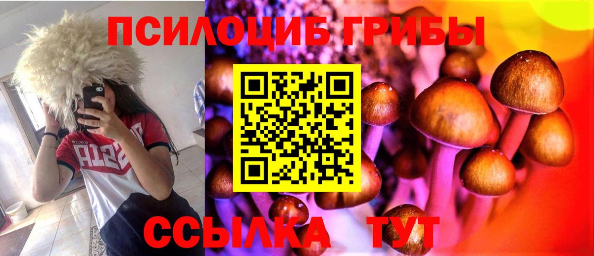 Галлюциногенные грибы Psilocybine cubensis  Псилоцибиновые грибы Psilocybe  Вход с VPN  где купить наркоту  Минеральные Воды 